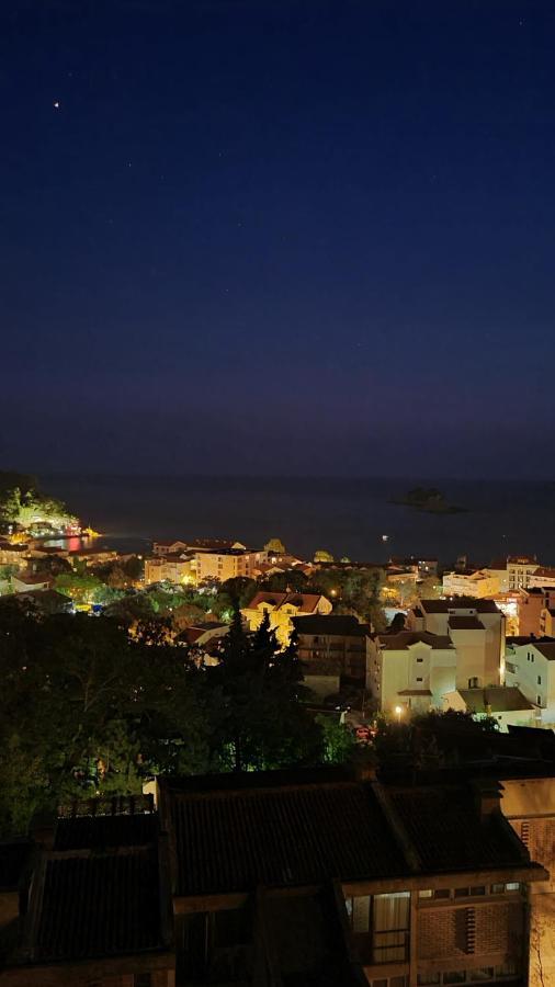 Anja & Ogo Apartments Sea View & Pool Petrovac Luaran gambar